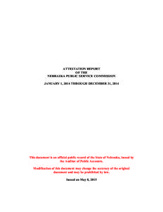 Blank Audit Report for Agencies
