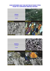 Microsoft Word - HAND SPECIMENS AND THIN SECTION OF ROCKS FROM THE CORNUBIA.