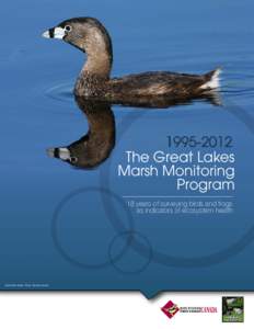 The Great Lakes Marsh Monitoring Program 18 years of surveying birds and frogs 1 as indicators of ecosystem health