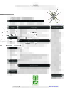 Arachnida  California Tarantula Class  Order