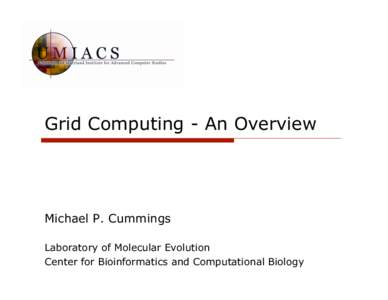 Grid Computing - An Overview  Michael P. Cummings Laboratory of Molecular Evolution Center for Bioinformatics and Computational Biology