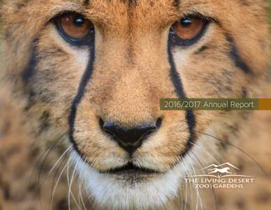 Annual Report  CHEETAH:Acinonyx jubatus CONSERVATION STATUS: Vulnerable, International Union for Conservation of Nature; some populations are extinct, some critically endangered. DISTRIBUTION: Arid Africa with