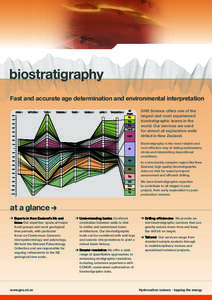 biostratigraphy Fast and accurate age determination and environmental interpretation GNS Science offers one of the largest and most experienced biostratigraphic teams in the world. Our services are used