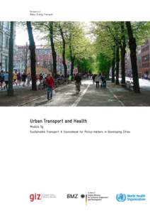 Division 44 Water, Energy, Transport Urban Transport and Health Module 5g Sustainable Transport: A Sourcebook for Policy-makers in Developing Cities