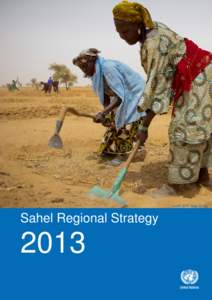 Credit: WFP NigerSahel Regional Strategy 2013