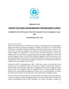 Microsoft Word - United Nations Environment Programme report to UNPFII 2014_final