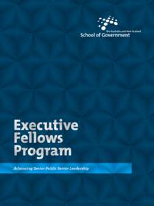 Executive Fellows Program Advancing Senior Public Sector Leadership  2