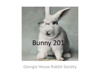 Bunny 201 Georgia House Rabbit Society Course Topics • •