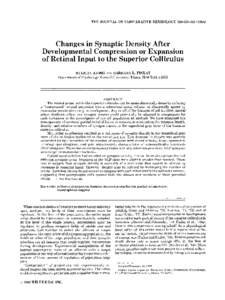 THE JOURNAL OF COMPARATIVE NEUROLOGY 330:Changes in Synaptic Density After Developmental Compression or Expansion of Retinal Input to the Superior Colliculus MEIJUAN XIONG AND BARBARA L. FINLAY