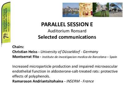 PARALLEL SESSION E Auditorium Ronsard Selected communications Chairs: Christian Heiss - University of Düsseldorf - Germany