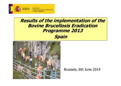 Results of the implementation of the Bovine Brucellosis Eradication Programme 2013 Spain  Brussels, 6th June 2014