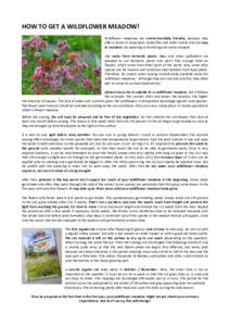 HOW TO GET A WILDFLOWER MEADOW! Wildflower meadows are environmentally friendly, because they offer a home to many bees, butterflies and other insects and are easy to maintain (no watering or fertilizing and rarely mowed