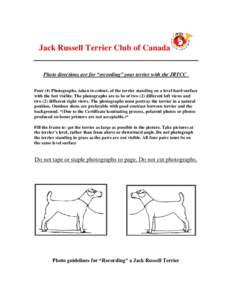 Jack Russell Terrier Club of Canada Photo directions are for “recording” your terrier with the JRTCC . Four (4) Photographs, taken in colour, of the terrier standing on a level hard surface with the feet visible. The