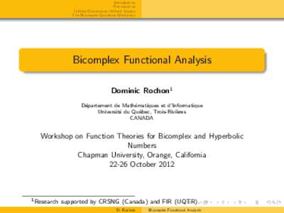 Introduction Preliminaries Infinite-Dimensional Hilbert Spaces The Bicomplex Quantum Mechanics  Bicomplex Functional Analysis