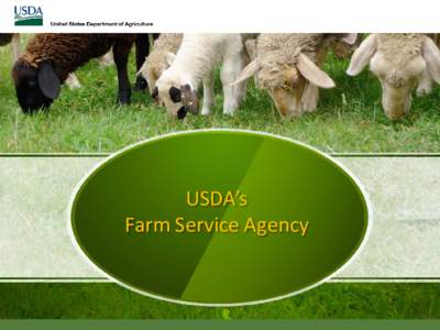 General Overview of FSA Programs/Loans