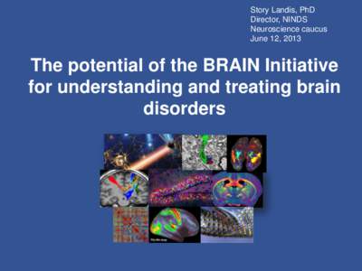 Story Landis, PhD Director, NINDS Neuroscience caucus June 12, 2013  The potential of the BRAIN Initiative
