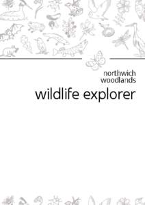 northwich woodlands wildlife explorer  welcome