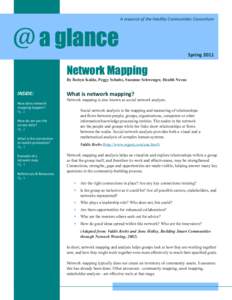 Microsoft Word - Network mapping at a glance.doc