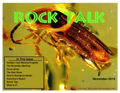 Rock Talk In This Issue October Club Meeting Program The November Meeting Cover photo The Gem Show