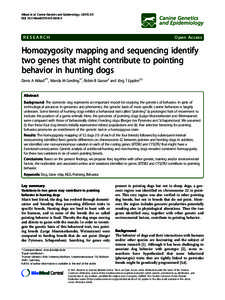 Homozygosity mapping and sequencing identify two genes that might contribute to pointing behavior in hunting dogs