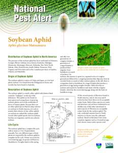 National Pest Alert Soybean Aphid Distribution of Soybean Aphid in North America The presence of the soybean aphid has been confirmed in Delaware, Georgia, Illinois, Indiana, Iowa, Kansas, Kentucky, Michigan,