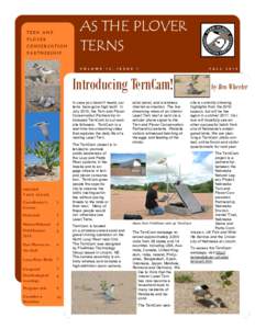 TERN AND PLOVER CONSERVATION PARTNERSHIP  AS THE PLOVER