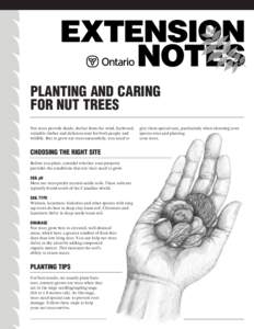 PLANTING AND CARING FOR NUT TREES Nut trees provide shade, shelter from the wind, fuelwood, valuable timber and delicious nuts for both people and wildlife. But to grow nut trees successfully, you need to