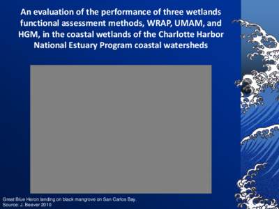 An evaluation of the performance of three wetlands functional assessment methods, WRAP, UMAM, and HGM, in the coastal wetlands of the Charlotte Harbor National Estuary Program coastal watersheds  Great Blue Heron landing