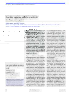 Plant Signaling & Behavior 6:6, ; June 2011; © 2011 Landes Bioscience  Electrical signaling and photosynthesis Can they co-exist together? Andrej Pavlovič1,* and Stefano Mancuso2,3 Department of Plant Physiology