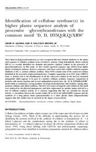CELLULOSE, 33–49  Identification of cellulose synthase(s) in higher plants: sequence analysis of processive -glycosyltransferases with the common motif ‘D, D, D35Q(R,Q)XRW’