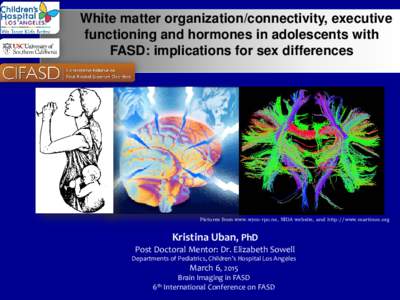 White matter organization/connectivity, executive functioning and hormones in adolescents with FASD: implications for sex differences Pictures from www.wyco-rpc.ne, NIDA website, and http://www.martinos.org