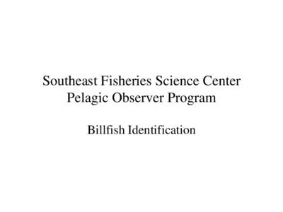 Billfish Identification: Pelagic Observers