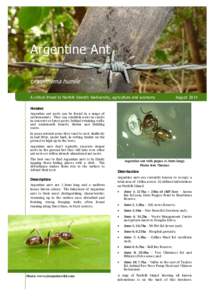 Argentine Ant Fact Sheet FINAL August 2014