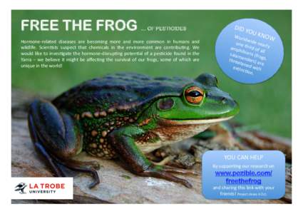 FREE THE FROG  … OF PESTICIDES Hormone-­‐related	
   diseases	
   are	
   becoming	
   more	
   and	
   more	
   common	
   in	
   humans	
   and	
   wildlife.	
   Scien@sts	
   suspect	
   that	
   c
