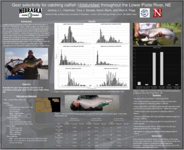 Gear selectivity for catching catfish (Ictaluridae) throughout the Lower Platte River, NE Jeremy J. L. Hammen, Tony J. Barada, Aaron Blank, and Mark A. Pegg School of Natural Resources, University of Nebraska – Lincoln