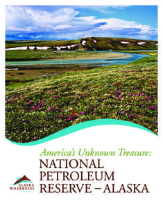 America’s Unknown Treasure:  NATIONAL PETROLEUM RESERVE – ALASKA[removed]indd 3