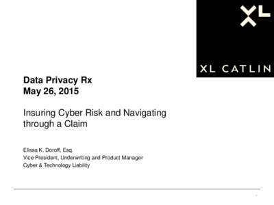 Data Privacy Rx May 26, 2015 Insuring Cyber Risk and Navigating through a Claim Elissa K. Doroff, Esq. Vice President, Underwriting and Product Manager