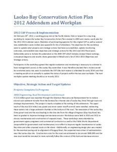 2012 CAP Process & Implementation