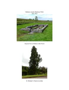 Mytharic temple (Hadrians Wall) June 2014 Sequoia Tree at Hutton in the Forest  St. Michael’s Church, Lowther