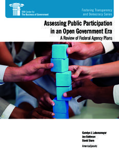 Fostering Transparency and Democracy Series Assessing Public Participation in an Open Government Era