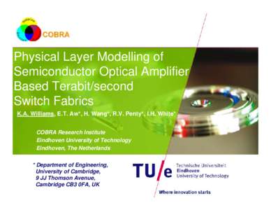 Physical Layer Modelling of Semiconductor Optical Amplifier Based Terabit/second Switch Fabrics K.A. Williams, E.T. Aw*, H. Wang*, R.V. Penty*, I.H. White* COBRA Research Institute
