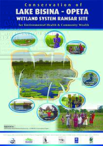 wetland system poster - East.pdf
