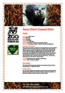 Asian Short-Clawed Otter Facts Latin name: Aonyx cinerea Class: Mammals Order: Carnivora Family: Mustelidae