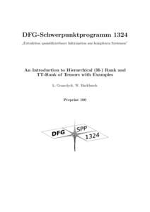 DFG-Schwerpunktprogramm 1324 Extraktion quantifizierbarer Information aus komplexen Systemen” ” An Introduction to Hierarchical (H-) Rank and TT-Rank of Tensors with Examples
