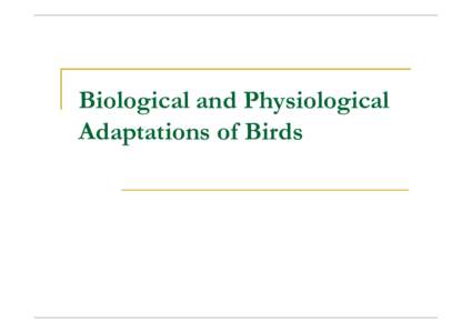 Biological and Physiological Adaptations of Birds