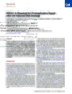 BRCA1 Is Required for Postreplication Repair after UV-Induced DNA Damage