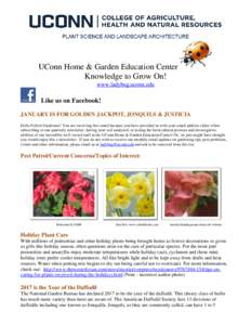 UConn Home & Garden Education Center Knowledge to Grow On! www.ladybug.uconn.edu Like us on Facebook! JANUARY IS FOR GOLDEN JACKPOT, JONQUILS & JUSTICIA