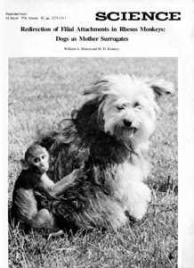 Reprinted from 22 March 1974, Volume 183, pp[removed]I Redirection of Filial Attachments in Rhesus Monkeys: Dogs as Mother Surrogates William A. Mason and M. D. Kenney