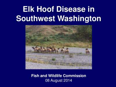 Elk Hoof Disease in Southwest Washington Fish and Wildlife Commission 08 August 2014