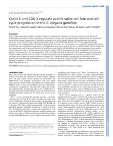 RESEARCH ARTICLEDevelopment 138, doi:dev © 2011. Published by The Company of Biologists Ltd  Cyclin E and CDK-2 regulate proliferative cell fate and cell